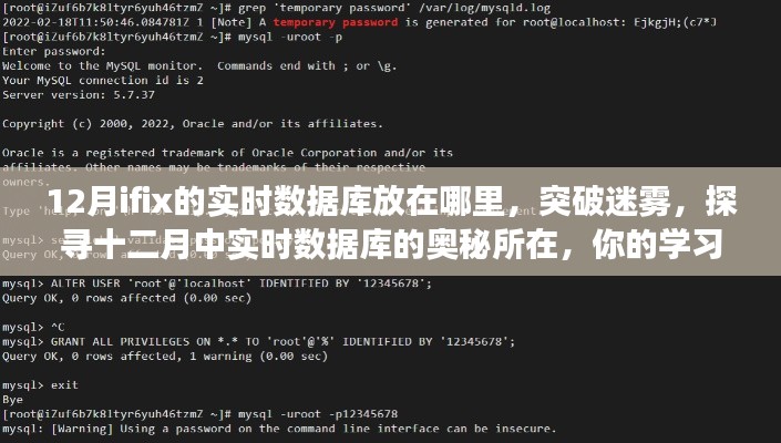 探尋十二月實(shí)時數(shù)據(jù)庫位置，學(xué)習(xí)之旅啟程