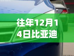 比亞迪速銳之旅，與自然共舞，探尋內(nèi)心平和與速度的實時車速體驗之旅