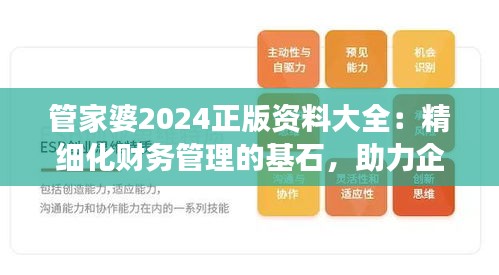 管家婆2024正版資料大全：精細化財務(wù)管理的基石，助力企業(yè)穩(wěn)健發(fā)展