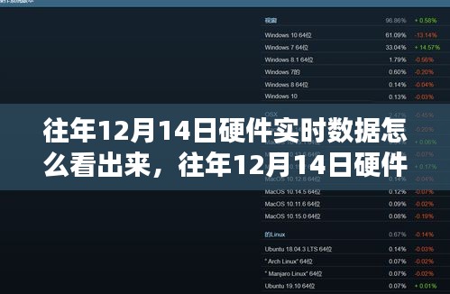 往年12月14日硬件實時數(shù)據(jù)深度解析，特性、體驗、競品對比與用戶洞察評測報告