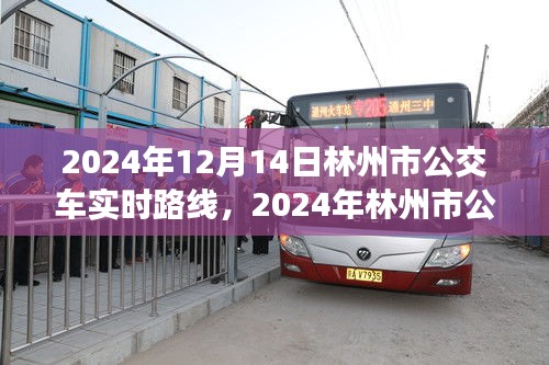 2024年林州市公交車實時路線指南，12月14日最新路線