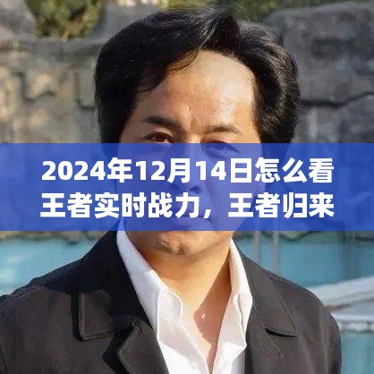 王者歸來，探尋自然美景之旅與解鎖內心平靜之力，實時戰(zhàn)力指南（2024年12月14日）