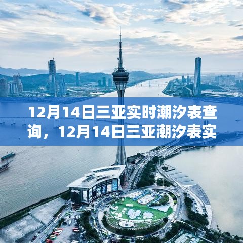 12月14日三亞潮汐表實時查詢攻略，從新手到進階的全方位教程