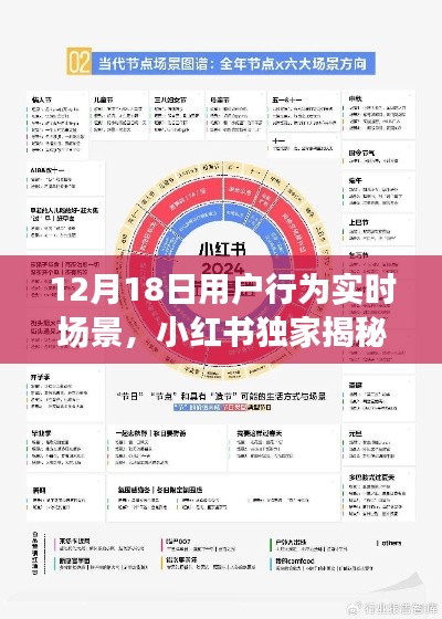 小紅書獨(dú)家揭秘，12月18日用戶行為實(shí)時(shí)場(chǎng)景全解析與洞察