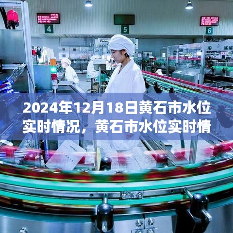 黃石市水位實時觀察與分析報告，聚焦黃石市水位實時情況觀察與觀點（2024年12月18日）