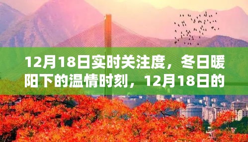 12月18日實時關(guān)注，冬日暖陽下的溫情時刻