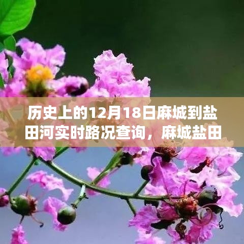 麻城鹽田河，一條路上的故事與溫情——實(shí)時(shí)路況查詢記錄