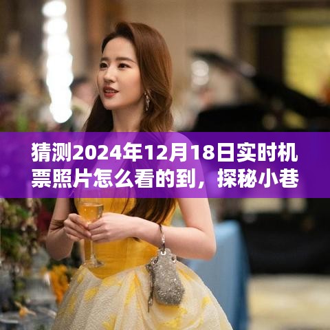 探秘未來(lái)機(jī)票照片動(dòng)態(tài)，2024年機(jī)票信息寶藏館揭秘及實(shí)時(shí)查看指南