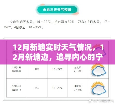 12月新塘實(shí)時(shí)天氣探索，追尋內(nèi)心的寧靜與自然微笑