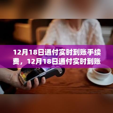 12月18日通付實(shí)時到賬手續(xù)費(fèi)調(diào)整解析，新政策費(fèi)用標(biāo)準(zhǔn)及其影響