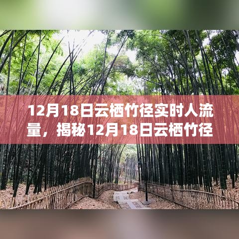 揭秘，云棲竹徑在12月18日的實(shí)時(shí)人流量深度解析與洞察報(bào)告