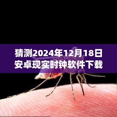 時(shí)光之窗，安卓時(shí)鐘軟件奇妙下載之旅，預(yù)測(cè)下載量飆升于2024年12月18日！