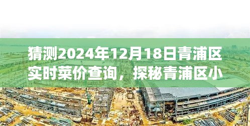 探秘青浦區(qū)菜價(jià)秘境，2024年12月18日菜價(jià)預(yù)測(cè)與實(shí)時(shí)查詢之旅