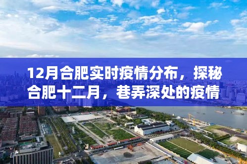 合肥十二月疫情探秘，巷弄深處的實時分布與獨特小店的故事