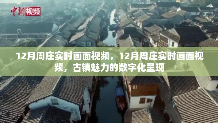 數(shù)字化呈現(xiàn)周莊古鎮(zhèn)的冬季魅力實(shí)時(shí)畫面視頻