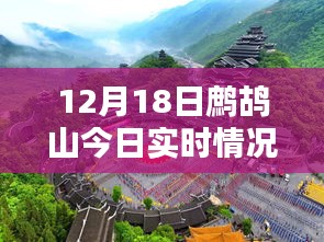 鷓鴣山今日實(shí)時(shí)情況，特色小店帶你領(lǐng)略別樣冬日風(fēng)情，驚喜藏于深山之中