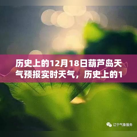 高鳥盡良弓藏 第4頁