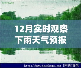 十二月的魔法時(shí)刻，雨中探索自然美景，與內(nèi)心的寧?kù)o共舞的天氣之旅