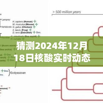 揭秘未來之旅，核酸實時動態(tài)與心靈自然美景的奇妙邂逅（預測日期為2024年12月18日）
