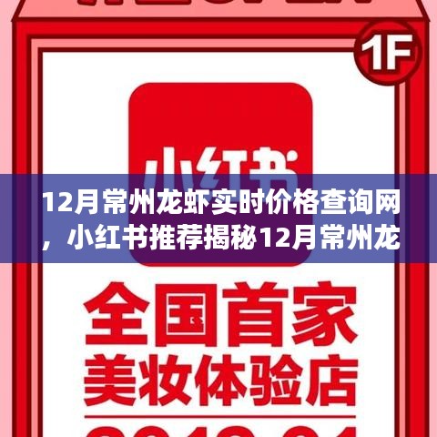 揭秘十二月常州龍蝦最新實(shí)時(shí)價(jià)格查詢攻略，小紅書推薦，輕松掌握市場走勢(shì)