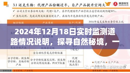 探尋自然秘境的心靈之旅，2024年12月18日實(shí)時(shí)監(jiān)測(cè)道路情況深度解析