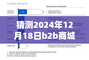 深度評測，預(yù)測與解析2024年12月18日B2B商城實(shí)時(shí)票據(jù)特性、體驗(yàn)、競品對比及用戶群體分析
