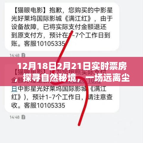 探尋自然秘境的心靈之旅，揭秘實(shí)時(shí)票房熱議背后的故事