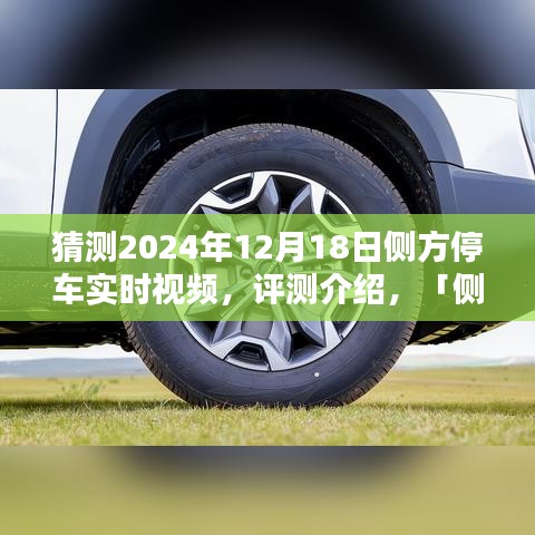 側(cè)方停車技術(shù)展望，2024年的停車體驗革新實時視頻評測介紹