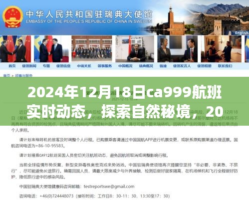 奇妙之旅