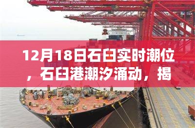 揭秘石臼港潮汐涌動，12月18日實時潮位深度解析