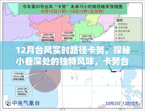 卡努臺(tái)風(fēng)下的美食探秘，小巷深處的獨(dú)特風(fēng)味與隱藏美食瑰寶