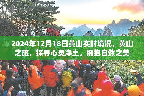 黃山之旅，探尋心靈凈土，擁抱自然之美——2024年12月18日黃山實(shí)時(shí)境況記錄