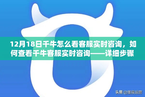 千牛客服實(shí)時(shí)咨詢查看指南，初學(xué)者與進(jìn)階用戶的詳細(xì)步驟