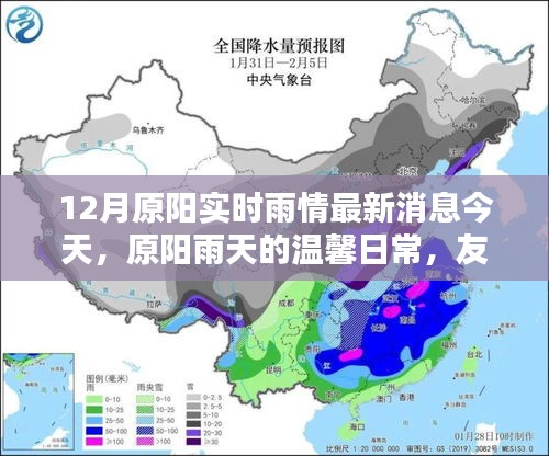 原陽雨情實(shí)時更新，溫馨日常與情感的傳遞