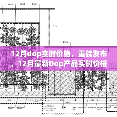重磅發(fā)布，領(lǐng)略科技魅力，體驗未來生活——揭秘十二月最新Dop產(chǎn)品實時價格指南