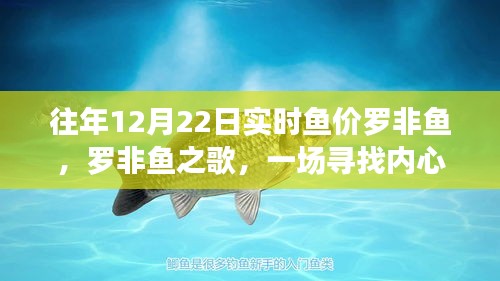 羅非魚之歌，探尋深海魚價與內(nèi)心平靜的旅程