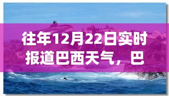 巴西暖陽下的溫馨時(shí)光，12月22日天氣紀(jì)實(shí)