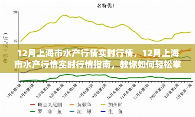 掌握上海水產(chǎn)市場(chǎng)脈搏，12月實(shí)時(shí)行情指南