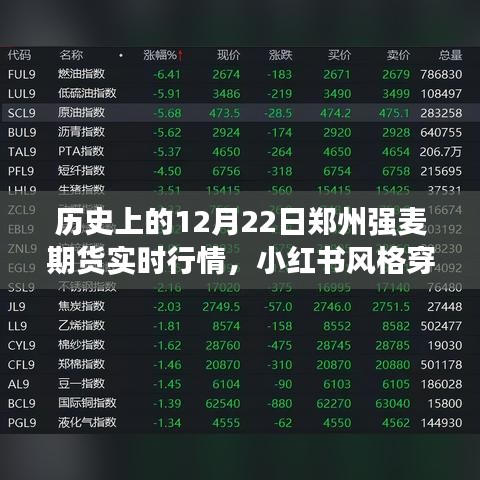 揭秘鄭州強(qiáng)麥期貨行情巔峰時(shí)刻，歷史上的特殊日子實(shí)時(shí)行情回顧——小紅書風(fēng)格穿越時(shí)光