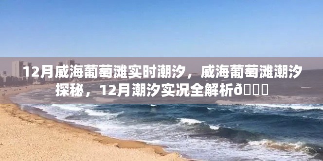威海葡萄灘12月潮汐實況解析，潮汐探秘全攻略
