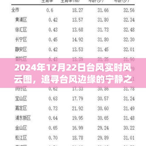 追尋臺風邊緣的寧靜之旅，2024年臺風風云圖揭示的奇妙啟示