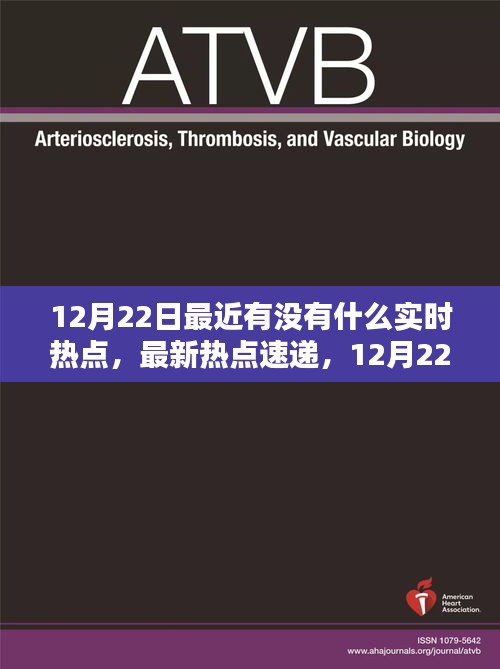 12月22日實(shí)時(shí)熱點(diǎn)速遞，火熱話(huà)題一覽