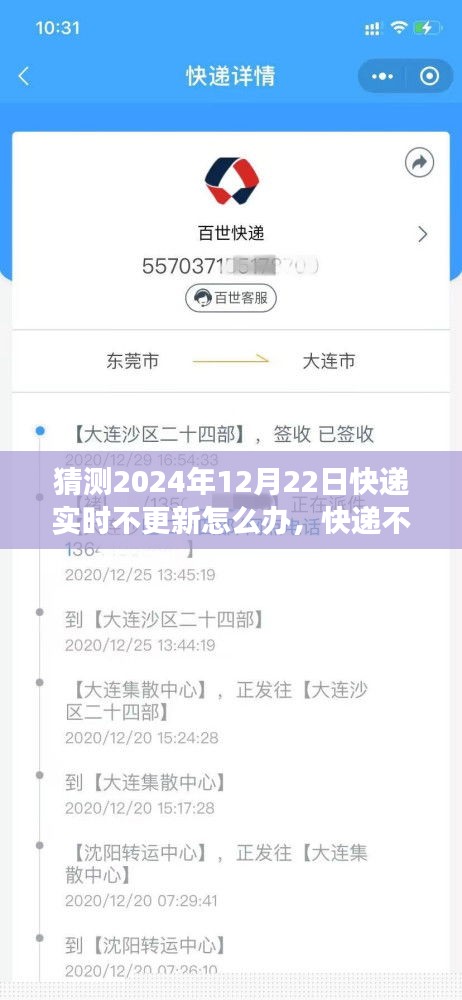快遞實時更新故障應(yīng)對指南，快遞不更新？日常冒險之旅中的溫馨解決方案