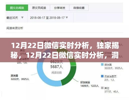 獨家揭秘，微信實時分析洞察社交趨勢，12月22日數據深度解讀