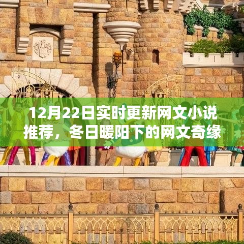 冬日暖陽下的溫馨網(wǎng)文奇緣，實時更新小說推薦