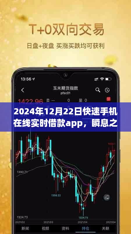 瞬息之間的資金流轉(zhuǎn)，2024年實(shí)時(shí)借款app的發(fā)展與影響