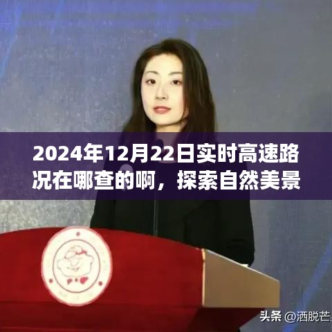 探索自然美景之旅，實時高速路況查詢指南與尋找內(nèi)心平靜的旅程