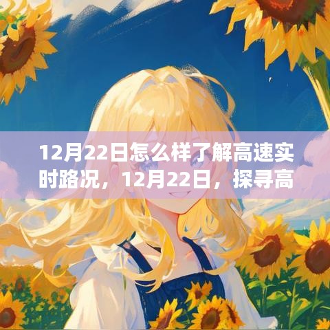 12月22日，探尋高速實(shí)時(shí)路況的洞察之旅，掌握實(shí)時(shí)路況信息！