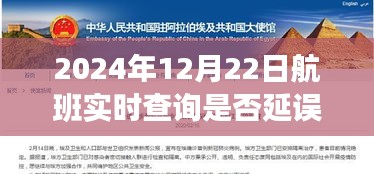 冬日暖陽下的飛行奇遇，航班延誤時(shí)光與好友共度