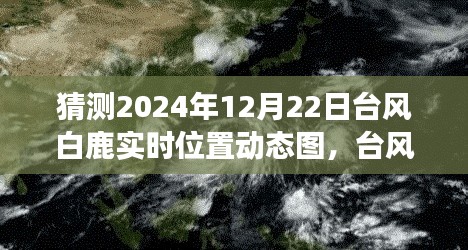 臺(tái)風(fēng)白鹿來襲，冒險(xiǎn)之旅中的自信閃耀與實(shí)時(shí)動(dòng)態(tài)圖預(yù)測(cè)學(xué)習(xí)筆記